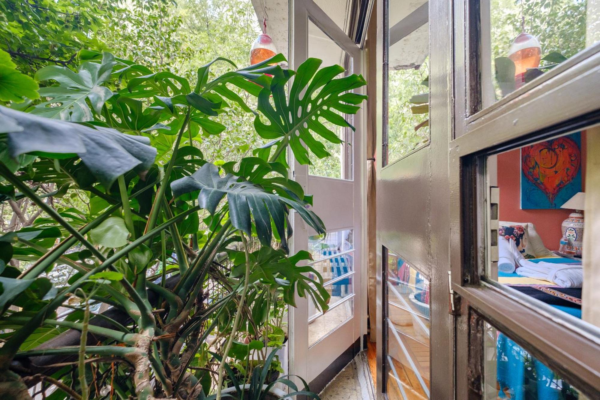 Bed and breakfast Casa Itzae B&b- Lincoln Park *